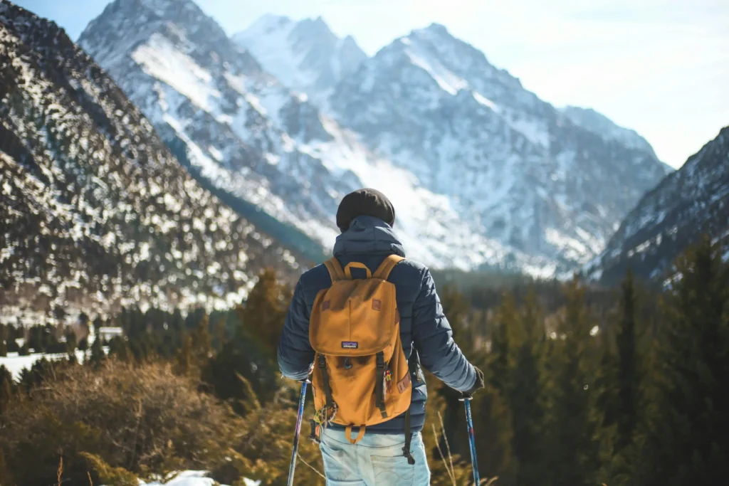 a person with skis and poles looking at mountains