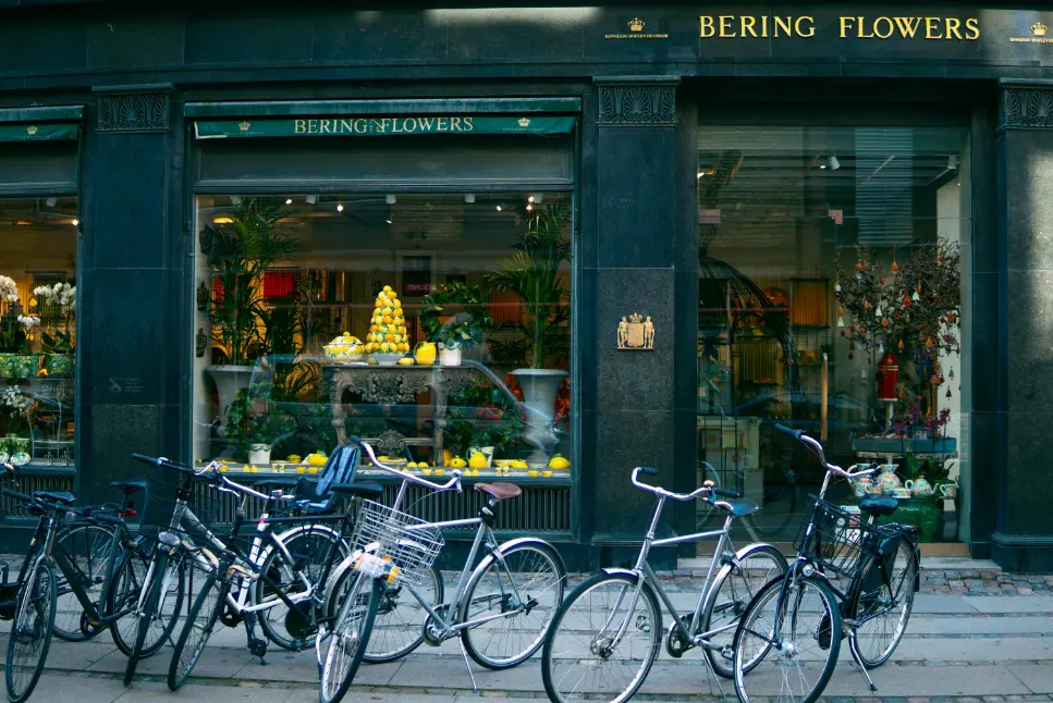 Cycles in Denmark