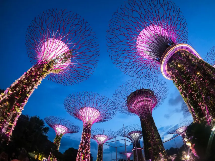 Supertree Grove and Gardens by the Bay- cheap places to go in Singapore for free at night