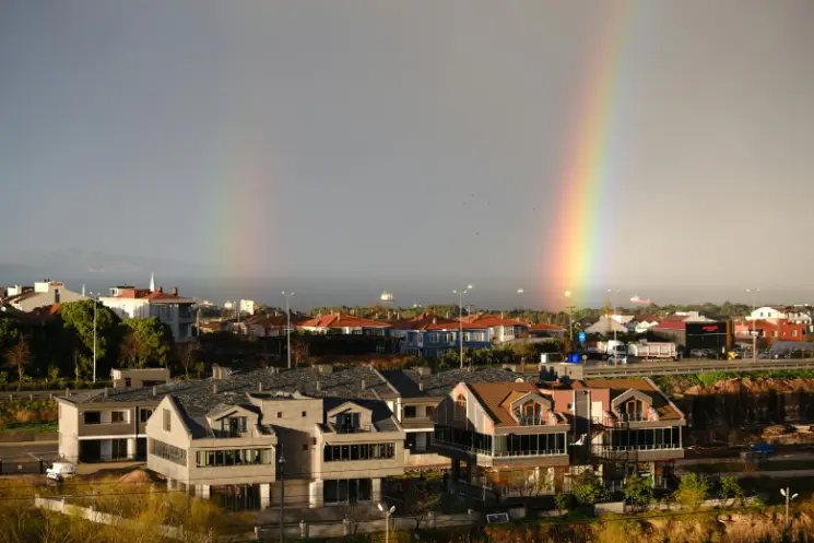 Town view with houses