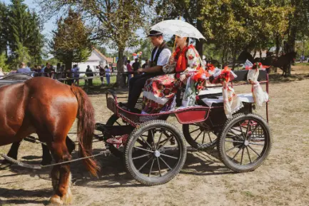 Horse drawn carriage