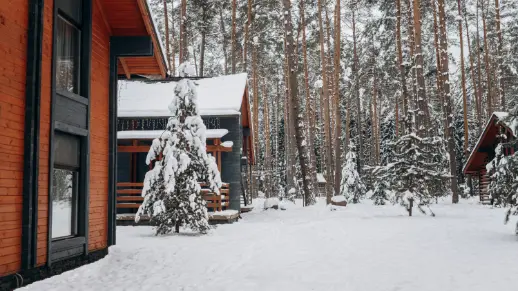 view of snowfall