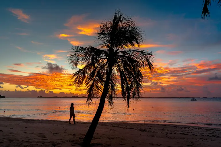 Indian Creek Island