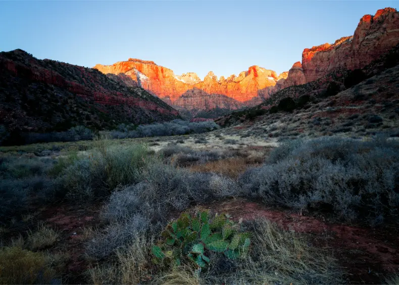 Stay Near Zion National Park